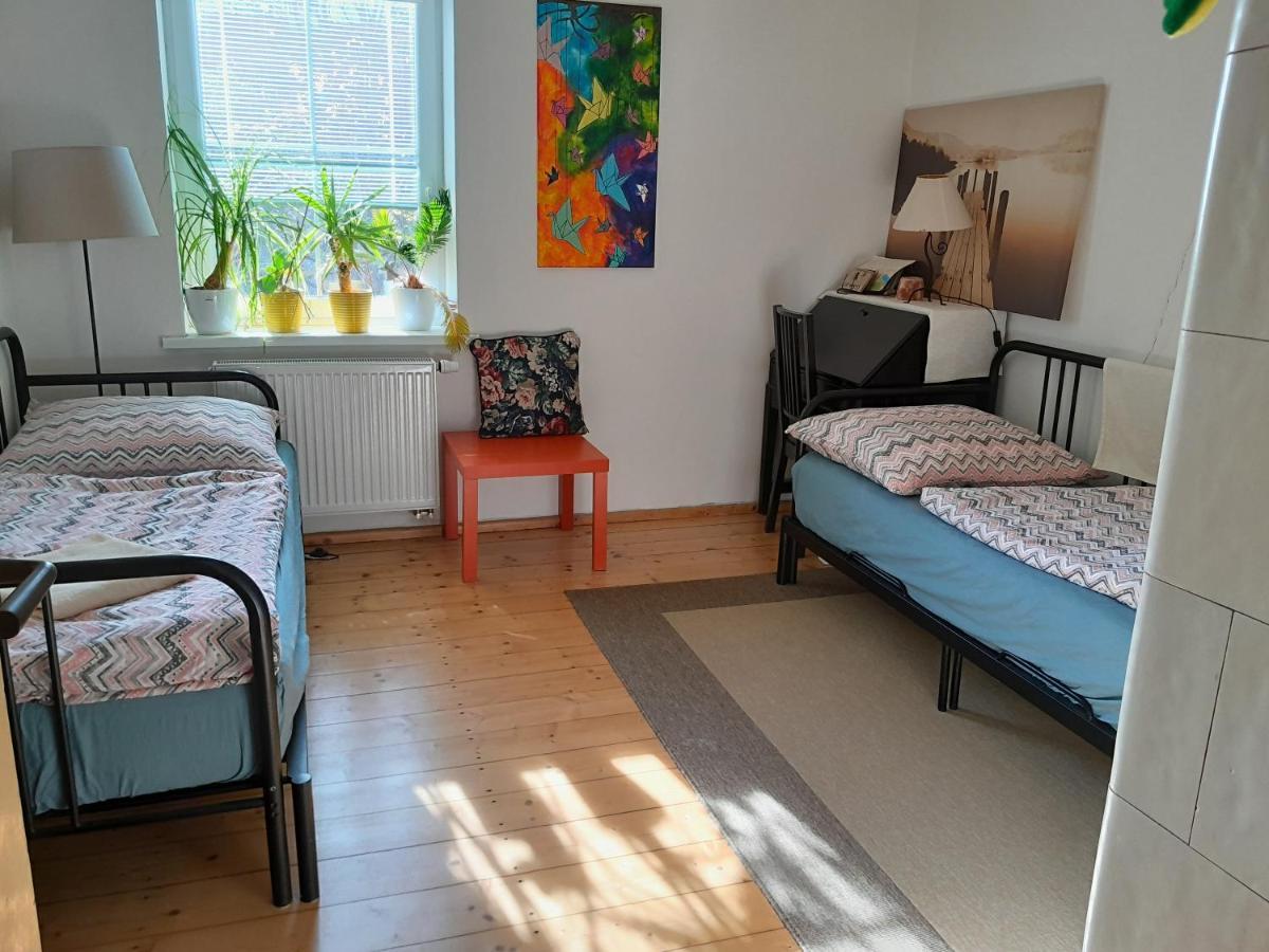 Apartment Riegerovka 海布 外观 照片